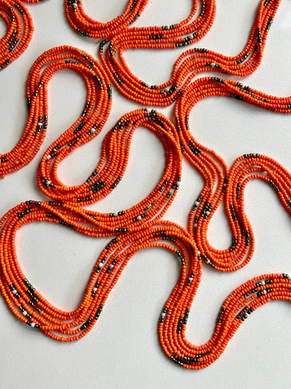Svadhisthana