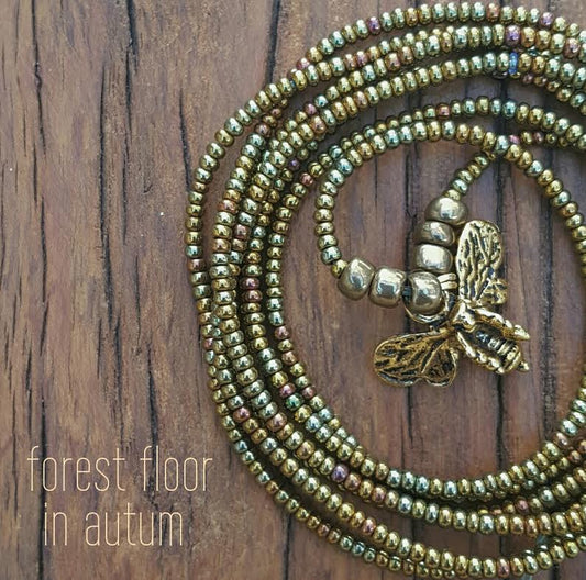 Forest Floor in Autumn